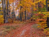 Beskid Niski